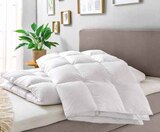 Winterbett Golden Glance im Segmüller Prospekt Winterbett Golden Glance von Centa-Star im aktuellen Segmüller Prospekt für 199,99 €