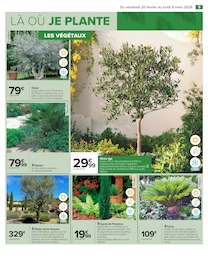 Offre Olivier dans le catalogue Carrefour du moment à la page 11