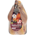 Chapon de pintade fermier du Maine Label Rouge - CARREFOUR EXTRA dans le catalogue Carrefour