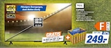 43P69K LED-TV Angebote von TCL bei expert Delmenhorst für 249,00 €