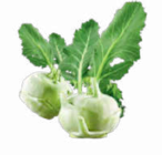 Kohlrabi bei Netto Marken-Discount im Prospekt "" für 0,34 €