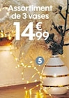 Promo Assortiment de 3 vases Oro Boltze à 14,99 € dans le catalogue Truffaut à Creac H Tregueux