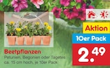 Beetpflanzen im Angebot bei Netto Marken-Discount in Celle Beetpflanzen Angebote bei Netto Marken-Discount Celle für 2,49 €