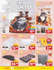 Aktueller Netto Marken-Discount Prospekt mit Bettdecke, "Aktuelle Angebote", Seite 26