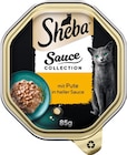 Katzennahrung Angebote von Sheba bei Rossmann Warendorf für 0,50 €