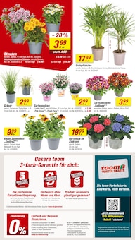 Aktueller toom Baumarkt Prospekt