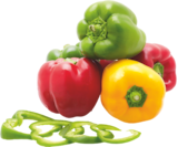 Poivrons tricolores dans le catalogue Colruyt