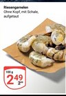 Aktuelle Garnelen Angebote bei GLOBUS in Erlangen Aktuelles Riesengarnelen Angebot bei GLOBUS in Erlangen ab 2,49 €