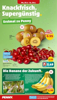 Aktueller Penny Tacherting Prospekt Penny Prospekt Tacherting "Wer günstig will, muss Penny." mit 37 Seiten