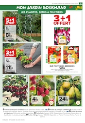 Tomate Angebote im Prospekt "PROFITER ENFIN DE SON JARDIN : PLANTATIONS" von Carrefour Market auf Seite 3