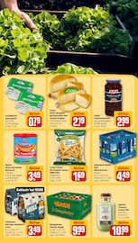 Quark im REWE Prospekt in Koblenz Aktueller REWE Prospekt mit Quark, "Dein Markt", Seite 23