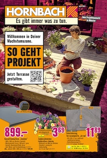 Markise im Hornbach Prospekt "Willkommen in Deiner Wachstumszone." mit 30 Seiten (Münster)