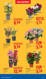 Jardinage Angebote im Prospekt "PRIX EN BAISSE" von Lidl auf Seite 29