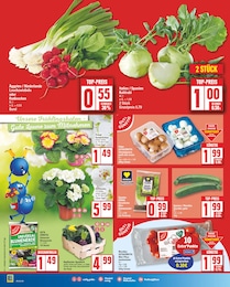 Gartenerde Angebot im aktuellen EDEKA Prospekt auf Seite 6