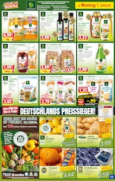 Orangen Angebot im aktuellen Norma Prospekt auf Seite 11