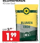 Blumenerde im Angebot bei Wreesmann in Aurich Blumenerde Angebote bei Wreesmann Aurich für 1,99 €