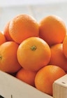 Orange à jus et/ou à dessert dans le catalogue Intermarché