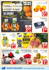 Aktueller Marktkauf Prospekt mit Garten, "Top Angebote", Seite 6