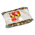 Promo Bulbes gros conditionnement à 9,99 € dans le catalogue Carrefour Market à Tressaint
