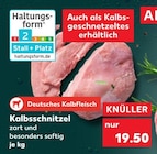 Aktuelles Kalbsschnitzel Angebot bei Kaufland in Halle (Saale) ab 19,50 €