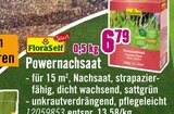 Powernachsaat Angebote bei Hornbach Oberursel für 6,79 €