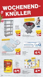 Aktueller famila Nordwest Prospekt mit Regal, "Markt - Angebote", Seite 36