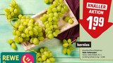 Helle Tafeltrauben im aktuellen REWE Prospekt
