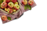 E center - Pfälzer Apfel Angebot im Prospekt Pfälzer Apfel bei E center im Prospekt "" für 4,99 €