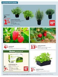 Prix et réduction Fraisier dans le prospectus Auchan Hypermarché en cours Offre Fraisier dans le catalogue Auchan Hypermarché du moment à la page 50