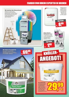 Farbe im Witthus Heimtex-Fachmarkt GmbH Prospekt "FRÜHLINGS TRENDS ZUM KNÜLLER-PREIS!" mit 16 Seiten (Bremen)