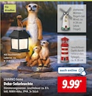 Deko-Solarleuchte Angebote von LIVARNO home bei Lidl Gera für 9,99 €