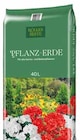 Pflanz-Erde im Pflanzen Kölle Prospekt Pflanz-Erde von Kölle´s Beste! im aktuellen Pflanzen Kölle Prospekt für 9,99 €