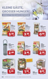 Sonnenblumenkerne im combi Prospekt in Rheine Aktueller combi Prospekt mit Sonnenblumenkerne, "Markt - Angebote", Seite 28