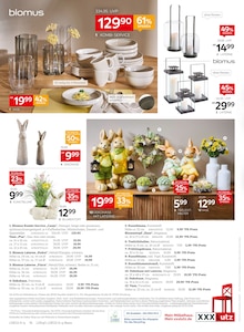 Blumentopf im XXXLutz Möbelhäuser Prospekt "10.000e Artikel dauerhaft günstig!" mit 16 Seiten (Karlsruhe)