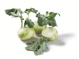Kohlrabi Angebot in Husum, Nordsee Kohlrabi im aktuellen Prospekt bei Lidl in Husum, Nordsee