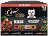 Goodness Terrine Hundenassnahrung Angebote von Cesar bei REWE Gießen für 15,99 €