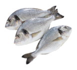 Daurade en promo chez Supermarchés Match Calais à 11,99 €