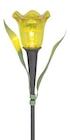Solar-Tulpe Angebote bei Thomas Philipps Hürth für 1,00 €