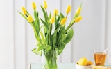 Bouquet de 9 tulipes de glace - U en promo chez U Express Sartrouville à 5,99 €