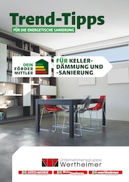Aktueller Götz + Moriz Baumärkte Prospekt für Heuweiler: Trend-Tipps FÜR DIE ENERGETISCHE SANIERUNG mit 15} Seiten, 09.06.2024 - 18.06.2024