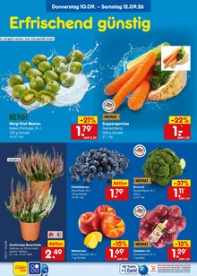 Cola im Netto Marken-Discount Prospekt "Aktuelle Angebote" mit 73 Seiten (Ludwigsburg)