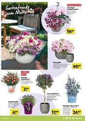 Blumentopf im Hagebaumarkt Prospekt in Aurich Aktueller Hagebaumarkt Prospekt mit Blumentopf, "Schenk mit uns von Herzen", Seite 3