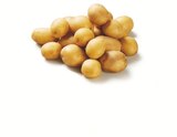 Speisefrühkartoffeln Angebot in Cornberg, Hess Speisefrühkartoffeln im aktuellen Prospekt bei Lidl in Cornberg, Hess