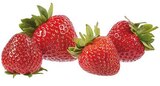 Spanien Erdbeeren bei EDEKA im Prospekt "" für 2,49 €