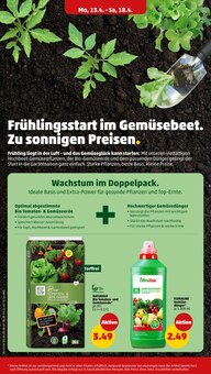 Tomaten im Penny Prospekt "Wer günstig will, muss Penny." mit 40 Seiten (München)