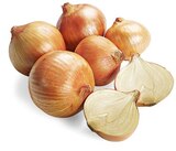 Gelbe Speisezwiebeln im Angebot bei REWE in Wesel Gelbe Speisezwiebeln Angebote bei REWE Wesel für 1,59 €