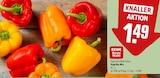 Paprika Mix Angebote von REWE Beste Wahl bei REWE Gütersloh für 1,49 €