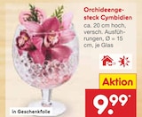 Netto Marken-Discount Lingen (Ems) Prospekt mit  im Angebot für 9,99 €