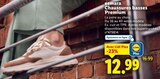 Chaussures basses premium - ESMARA - Lidl à Ermont Chaussures basses premium - ESMARA en promo chez Lidl Ermont à 12,99 €
