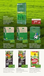 Pflanzen Kölle Hochbeet im Prospekt Pflanzen Kölle Hochbeet im Prospekt